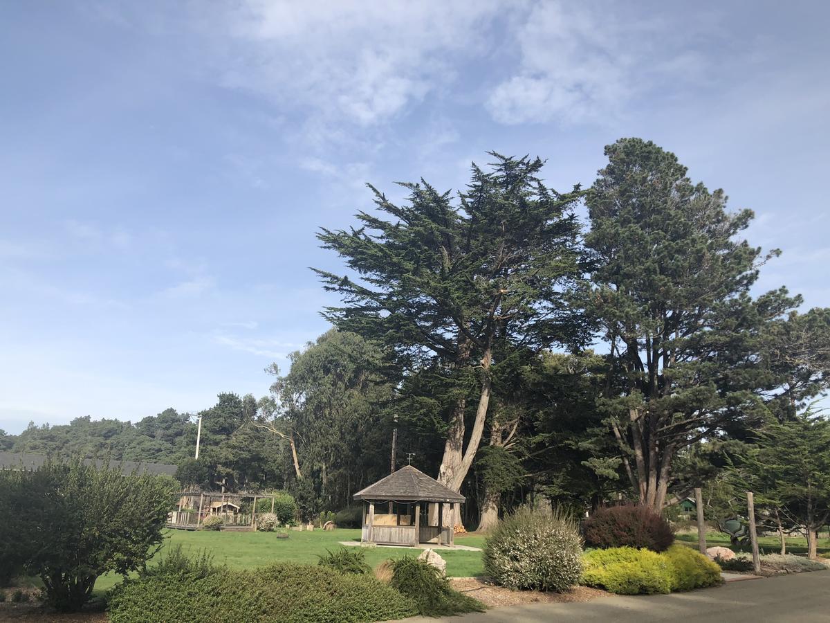 Pine Beach Inn Fort Bragg Exterior foto